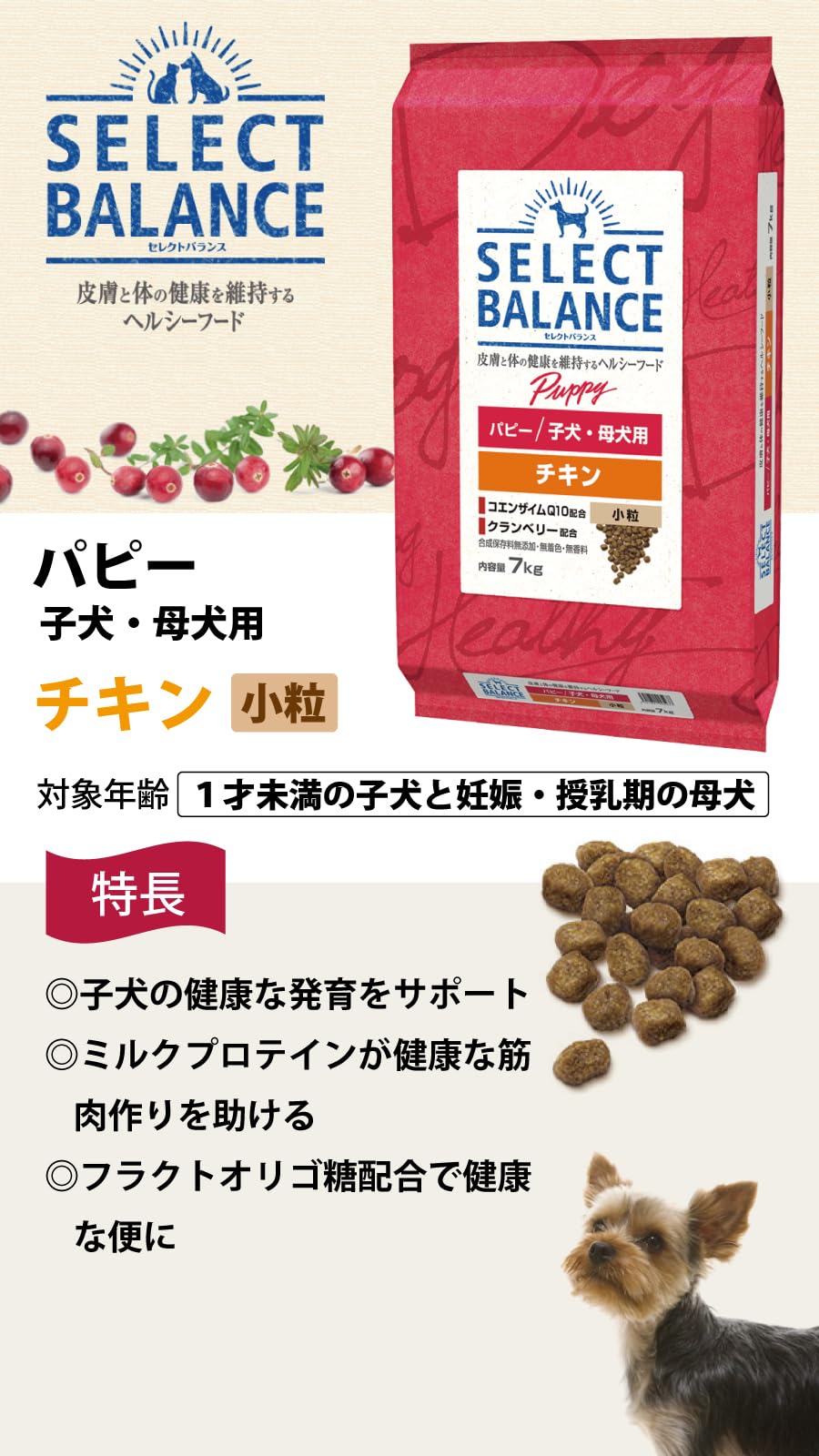 Amazon.co.jp: セレクトバランス ドッグフード パピー チキン 小粒